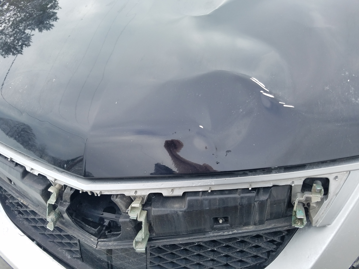 Ice damage on Acura