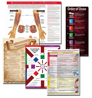 set of five phlebotomy posters