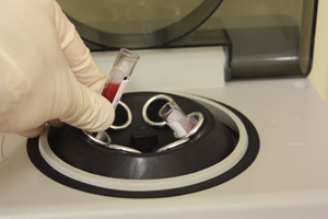 blood tubes being loaded into centrifuge